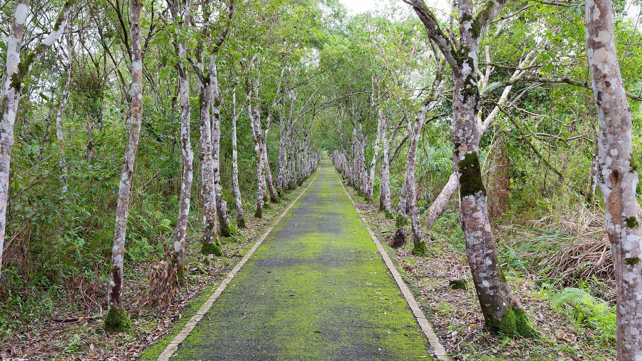 08 - Hualien (9).jpg